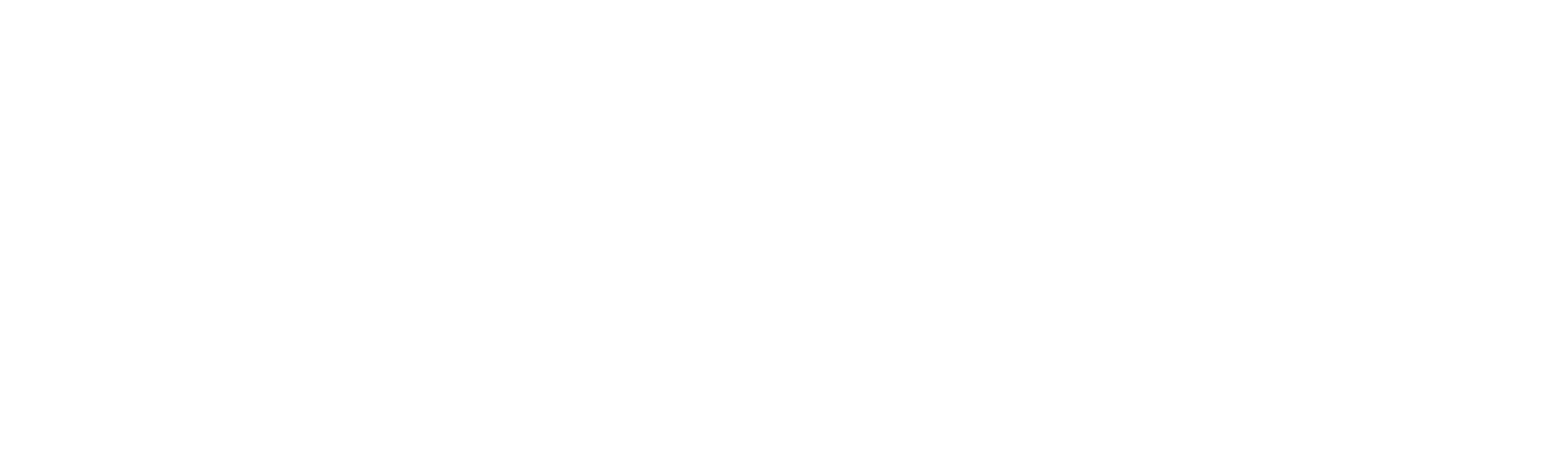 AGV/AMR robot companies-VisionNav