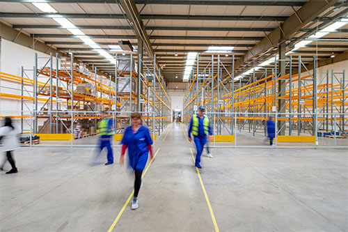 When is the Right Time to Automate Your Warehouse And Supply Chain Operation?